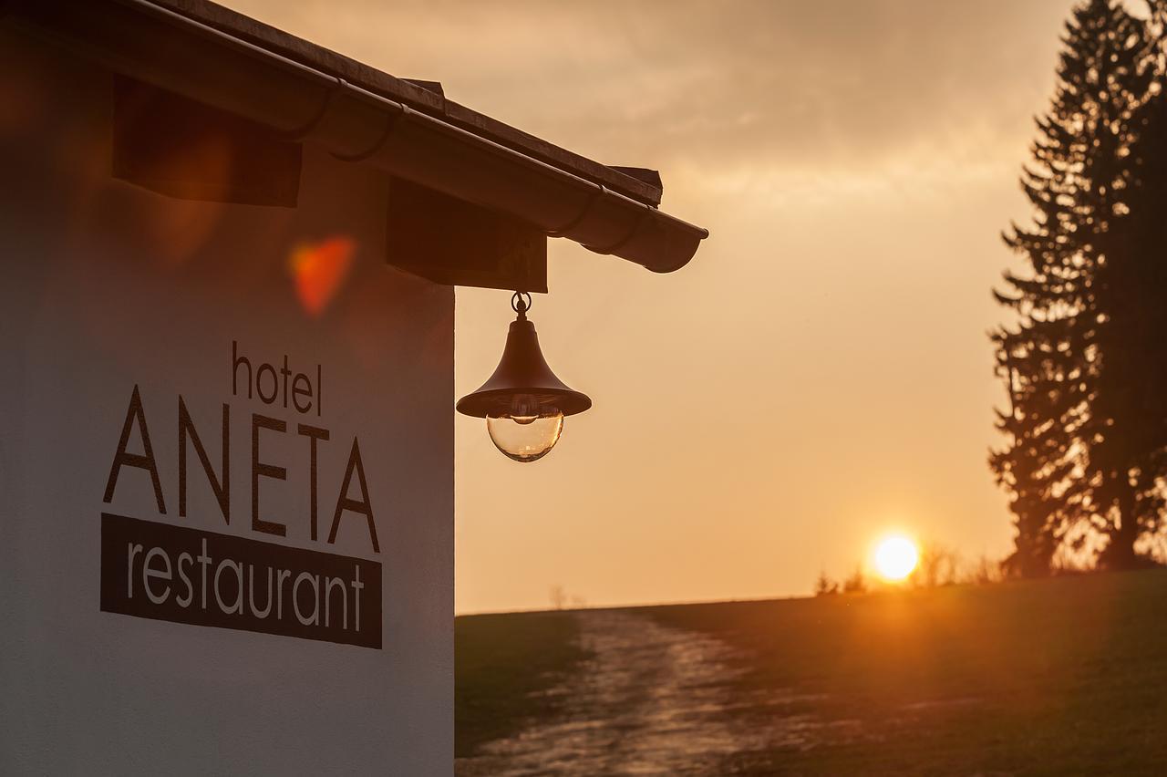 Aneta Hotel & Restaurant Vítkovice Eksteriør billede