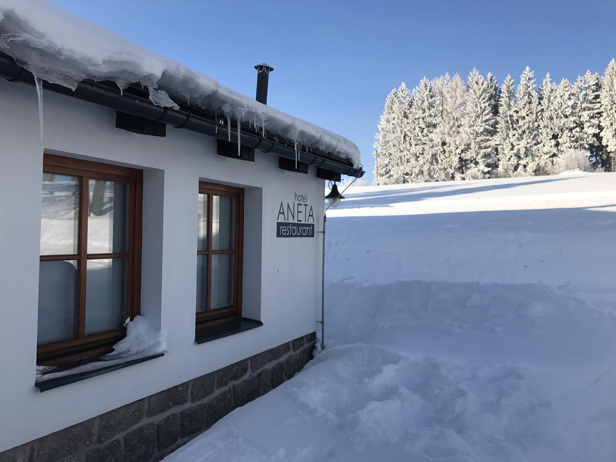 Aneta Hotel & Restaurant Vítkovice Eksteriør billede